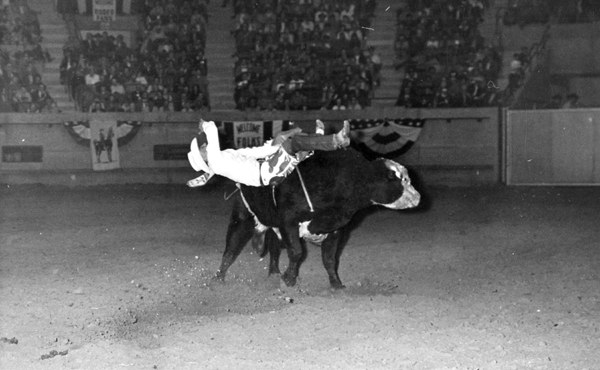 Flying High and Crash Landing: Bull Wrecks in Rodeo - National Cowboy ...