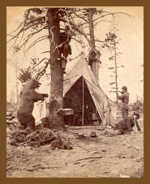 Bear Slashing When Animals Attack: Humorous Hunting Tableaux - National Cowboy ...