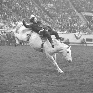 Joe Alexander Thumbnail