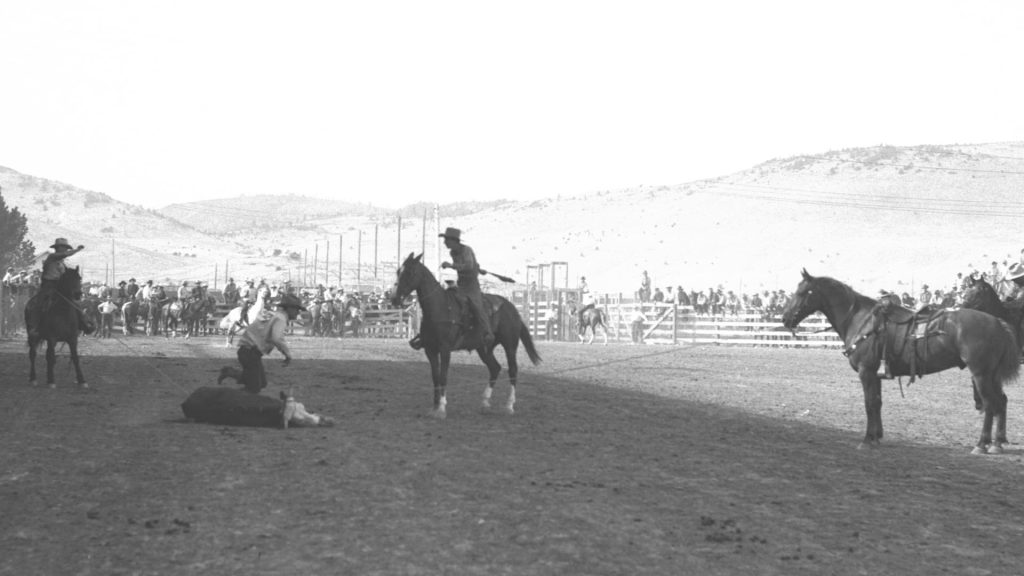 team roping black and white
