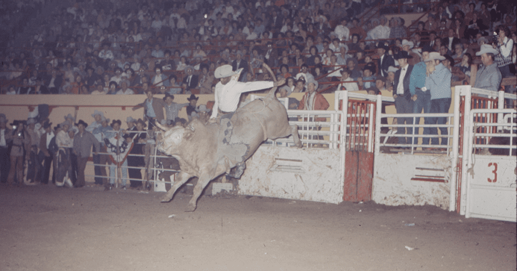 Myrtis Dightman is riding a bull at the National Finals Rodeo in Oklahoma City. 
