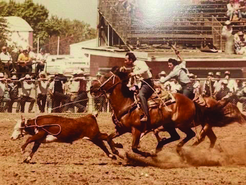 Camarillo-Reg.jpg