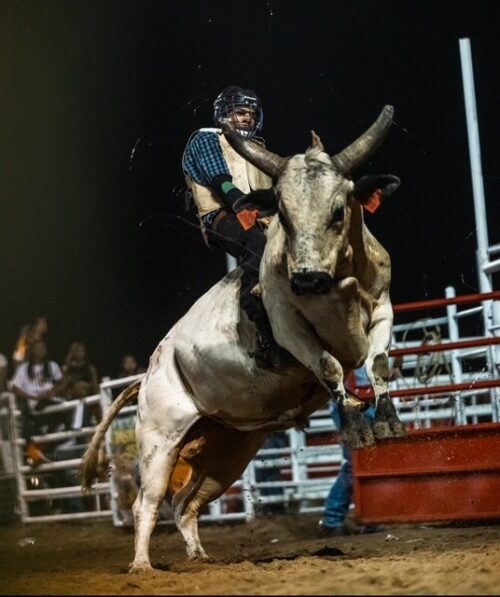 Boley Rodeo Day - National Cowboy & Western Heritage Museum