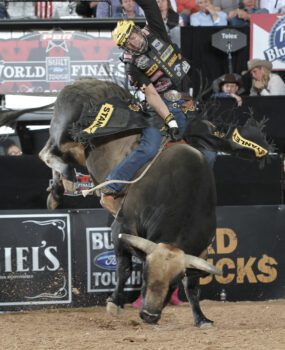 Silvano Alves